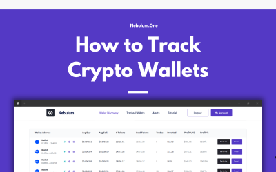 Wallet Tracking Tool