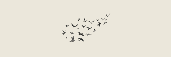 Collective machine intelligence